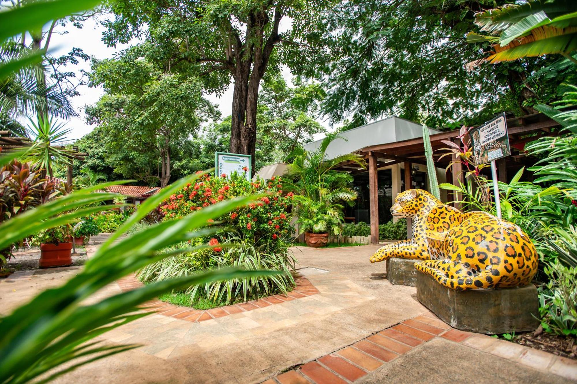 Hotel Fazenda Mato Grosso กูยาบา ภายนอก รูปภาพ
